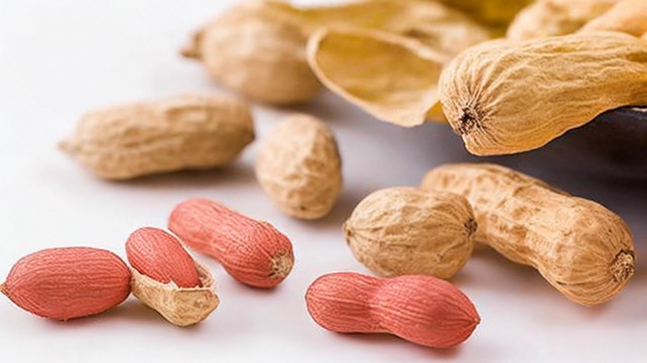 花生到底能不能吃？糖友们看这里就明白