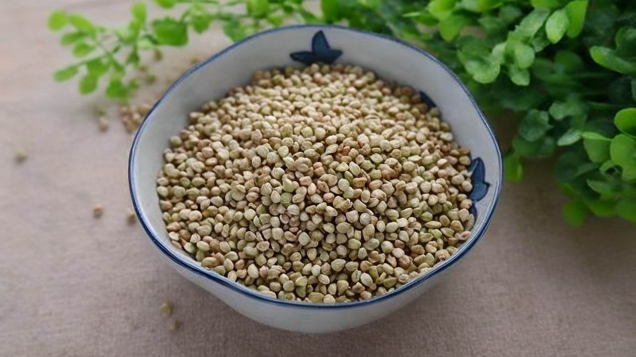 荞麦降血糖效果真的很靠谱吗？